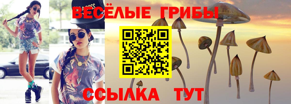 даркнет сайт  Вход с VPN  Ноябрьск  Галлюциногенные грибы мицелий  Псилоцибиновые грибы GOLDEN TEACHER 
